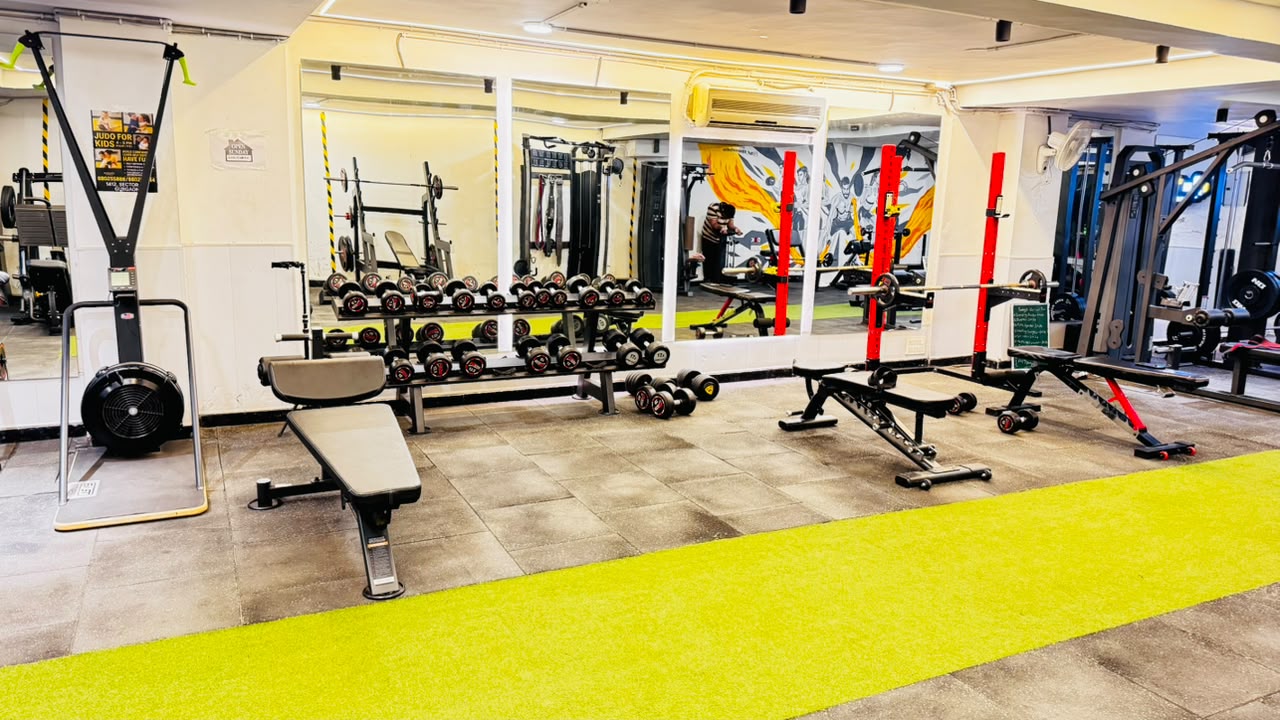 Free weights dumbbells rack